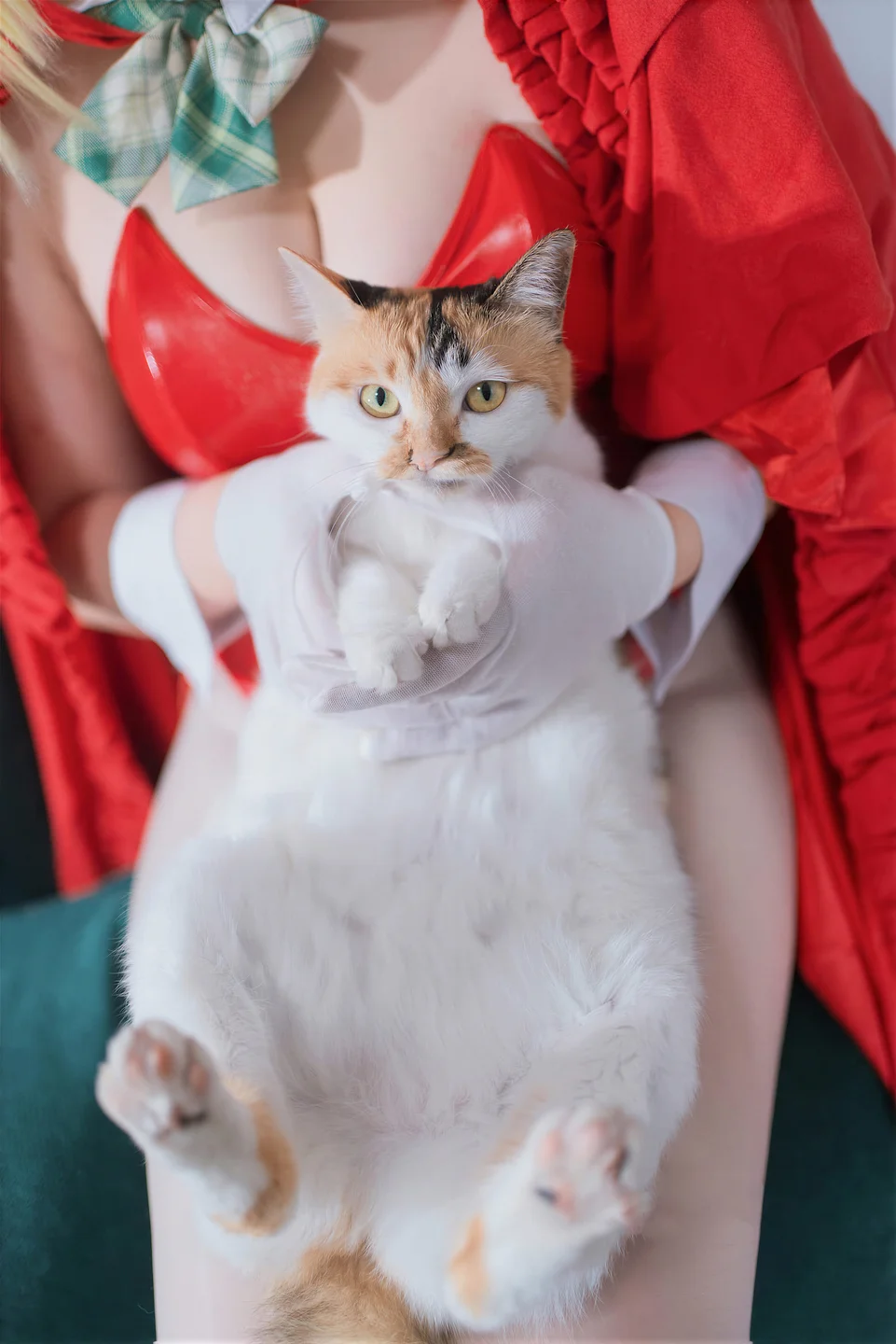 阿半今天很开心_No_046_Fate_圣诞节_尼禄_71P_1_01GB tg@simisebaisi 【丝足阁】043.webp